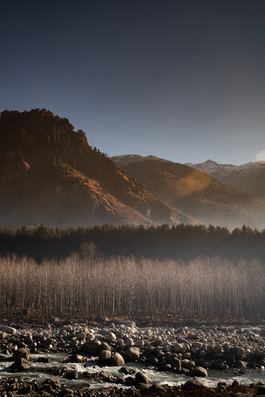 Rust-brown mountains, a band of bare poplars and a riverbed of grey stones in late-winter light.