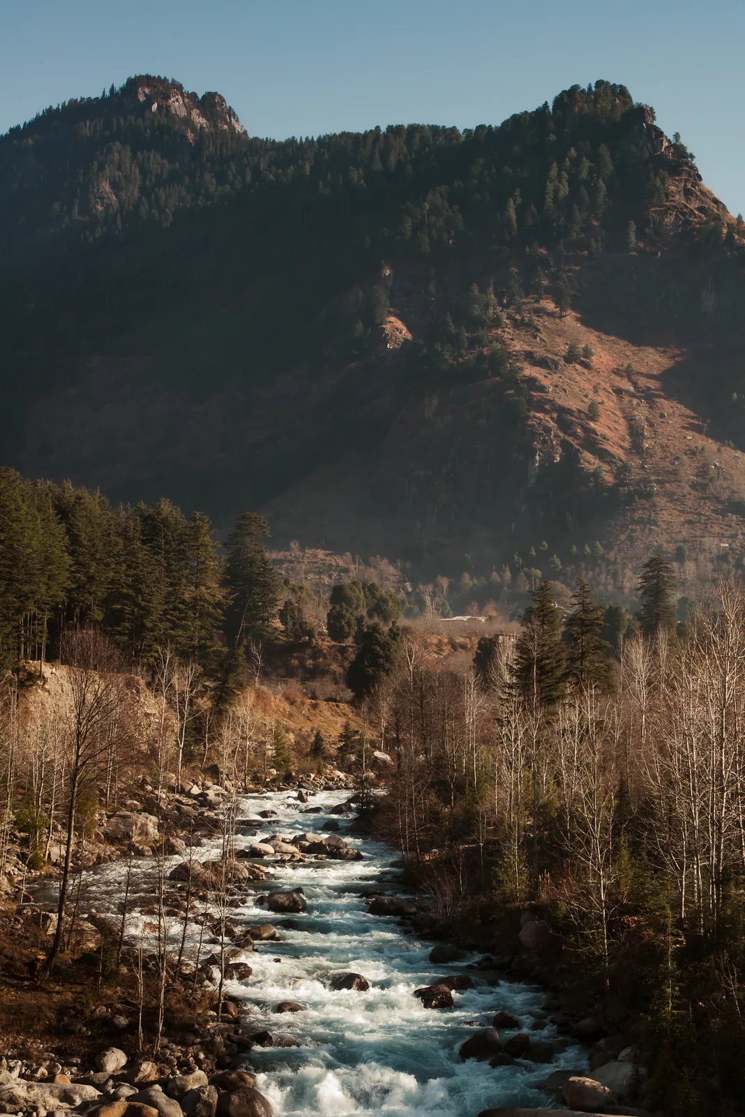 A glacial river cuts through a valley of bare winter trees, a forested ridge rising behind.