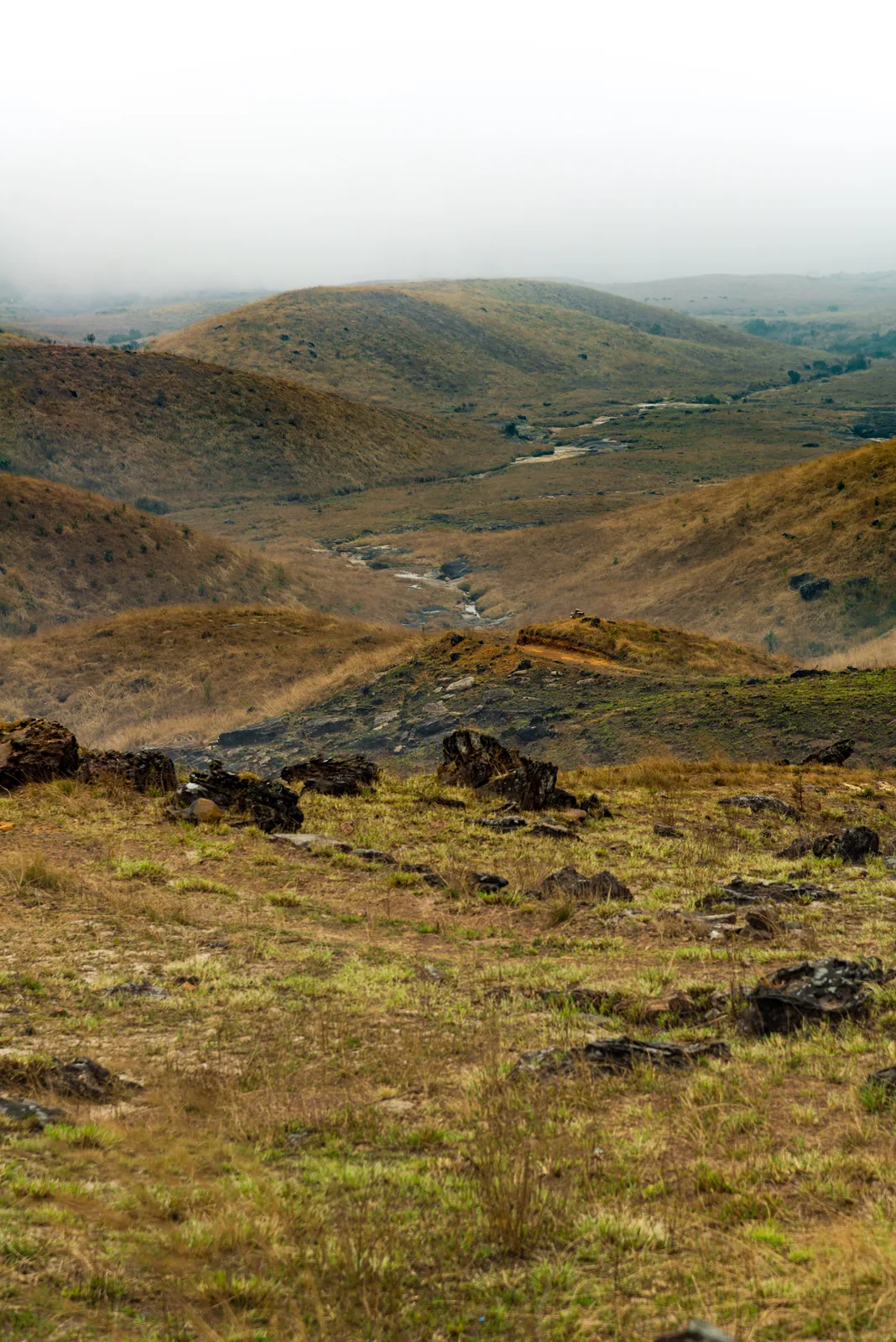 Grassy hills roll into the distance under a veil of fog, scattered with dark rocks.
