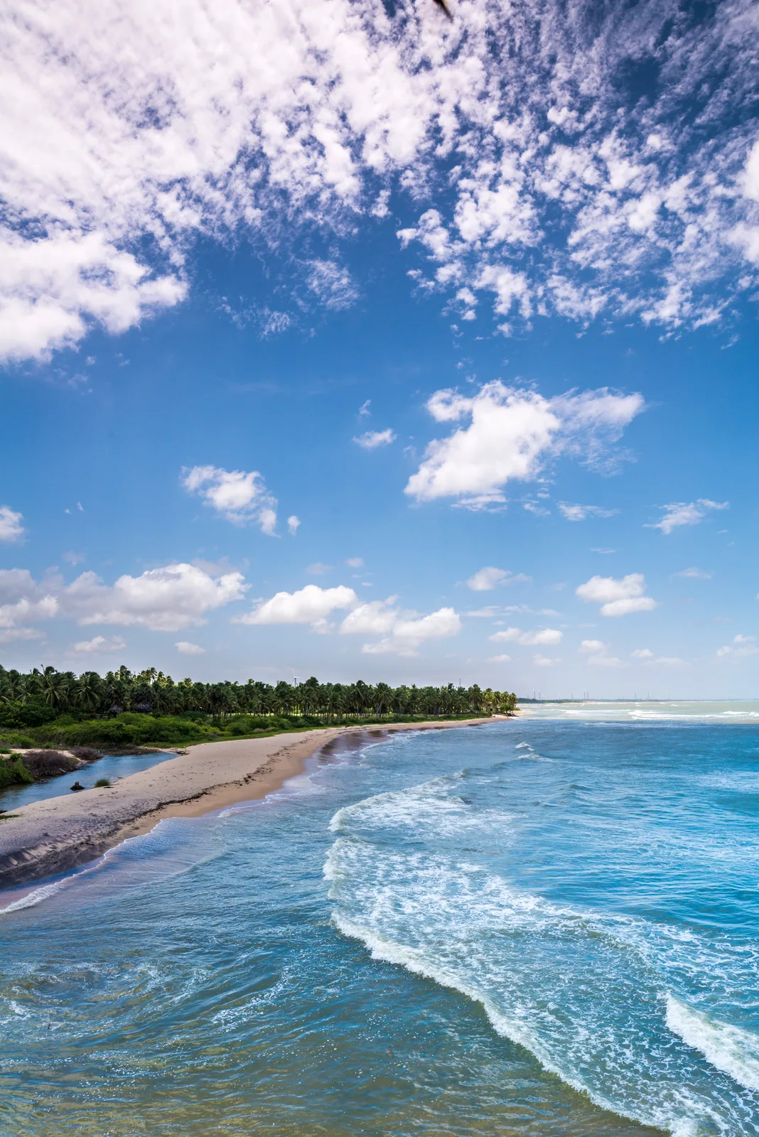 Turquoise surf curls onto a long beach under scattered cloud, coconut palms lining the shore.