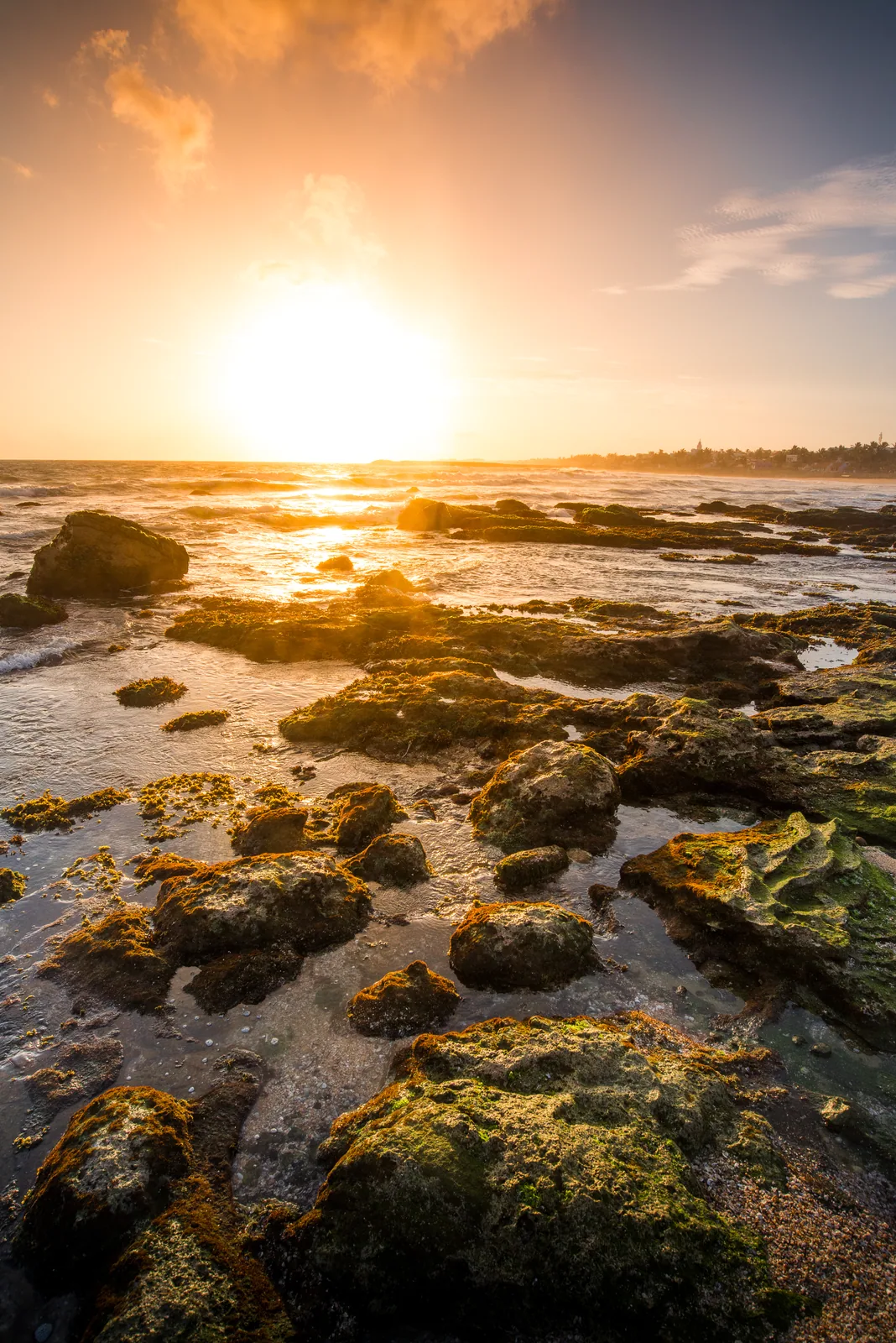 The sun bursts over a rocky shore of mossed stones and shallow pools.