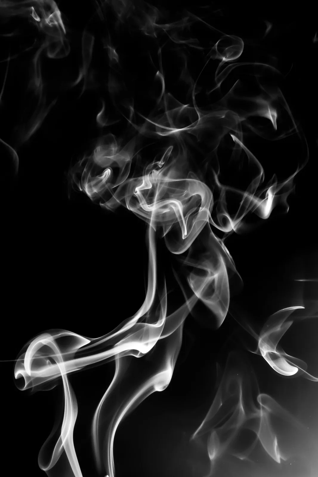 Incense smoke curls into an elegant knot: white smoke on black, or ink-black on white.