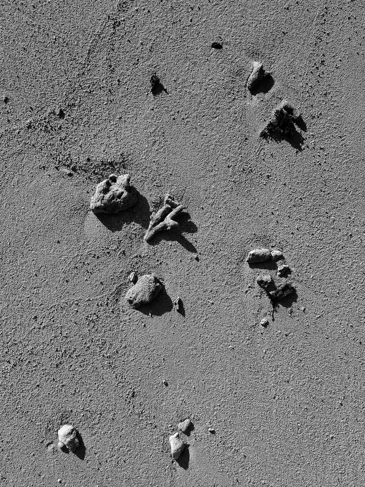 Small mounds and hollows in wet sand, like marks on a page.